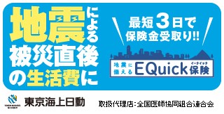 E-Quick保険
